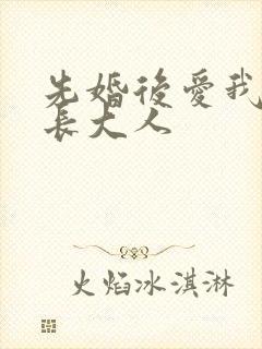 先婚后爱我的市长大人封面