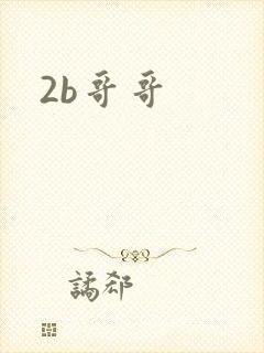 2b哥哥