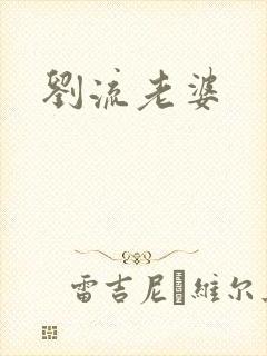 刘流老婆