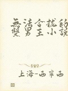 无法合拢的总裁双男主小说