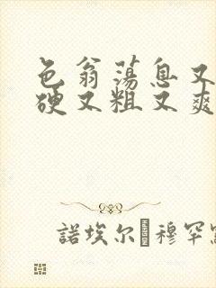 色翁荡息又大又硬又粗又爽
