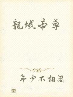 龙域帝尊