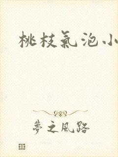 桃枝气泡小说