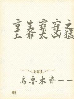 重生霸宠之摄政王爷太凶猛