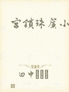 宫锁珠帘小说