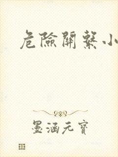 危险关系小说