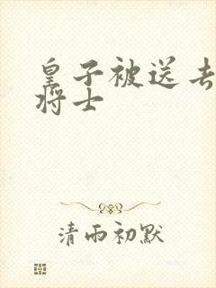 皇子被送去犒劳将士