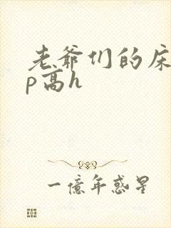 老爷们的床奴np高h