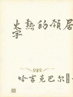火热的领居中文字