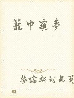 笼中窥梦