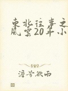 东北往事之黑道风云20年小说