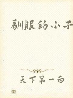驯服的小子4