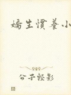 娇生惯养小说