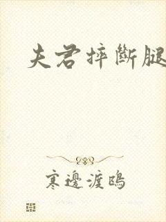 夫君摔断腿后