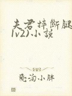 夫君摔断腿后(1v2)小说