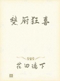 双厨狂喜封面