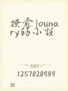 撩愈jounary的小说封面