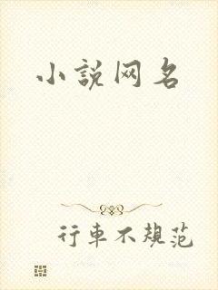 小说网名