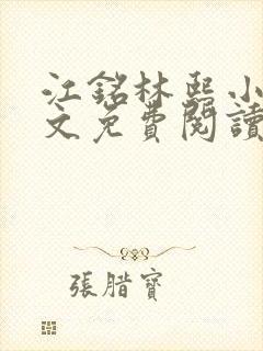 江铭林熙小说全文免费阅读