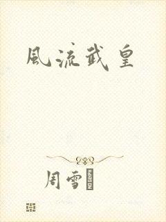 风流武皇封面