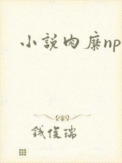 小说肉糜np封面