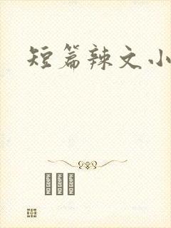 短篇辣文小说