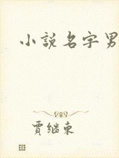 小说名字男生