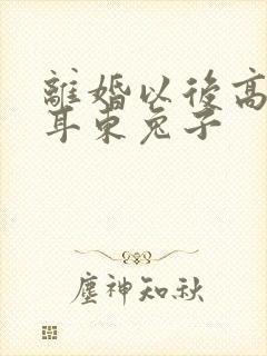 离婚以后高干 耳东兔子