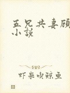 五兄共妻顾心儿小说