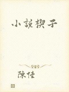 小说楔子