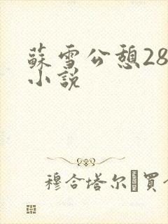 苏雪公憩28篇小说