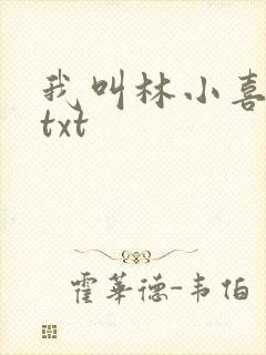 我叫林小喜小说txt