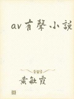 av有声小说