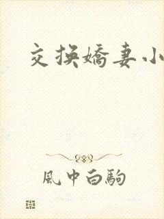 交换娇妻小说
