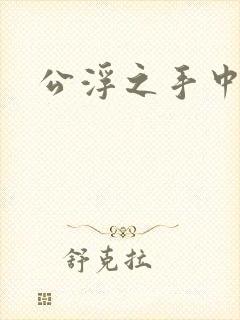 公浮之手中字5封面