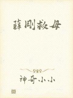 薛刚救母封面