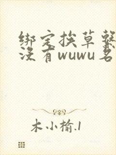 绑定挨草系统后没有wuwu名字