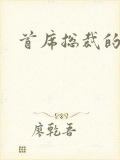 首席总裁的逃妻封面