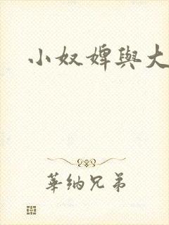小奴婢与大少爷
