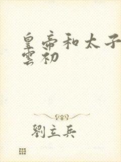 皇帝和太子妃h云初封面
