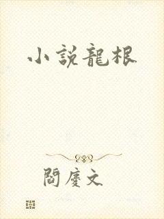 小说龙根