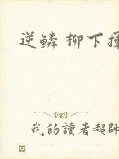 逆鳞 柳下挥