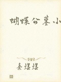 蝴蝶公墓小说