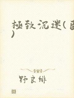 极致沉迷(臣年)封面