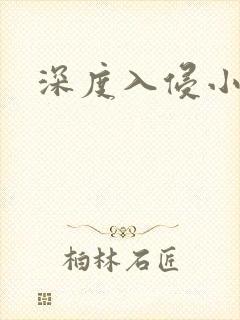 深度入侵小说