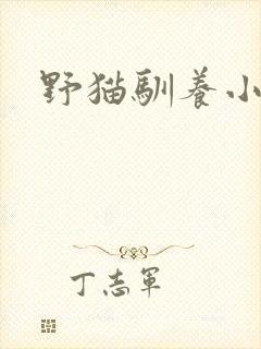 野猫驯养小说