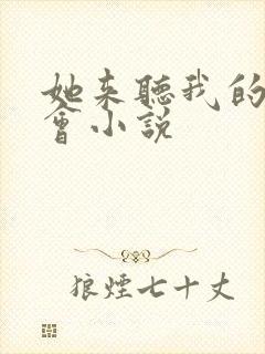 她来听我的演唱会小说