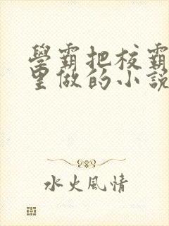 学霸把校霸往死里做的小说