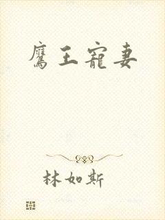 鹰王宠妻封面