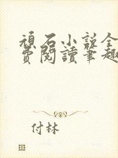 顽石小说全文免费阅读笔趣阁封面